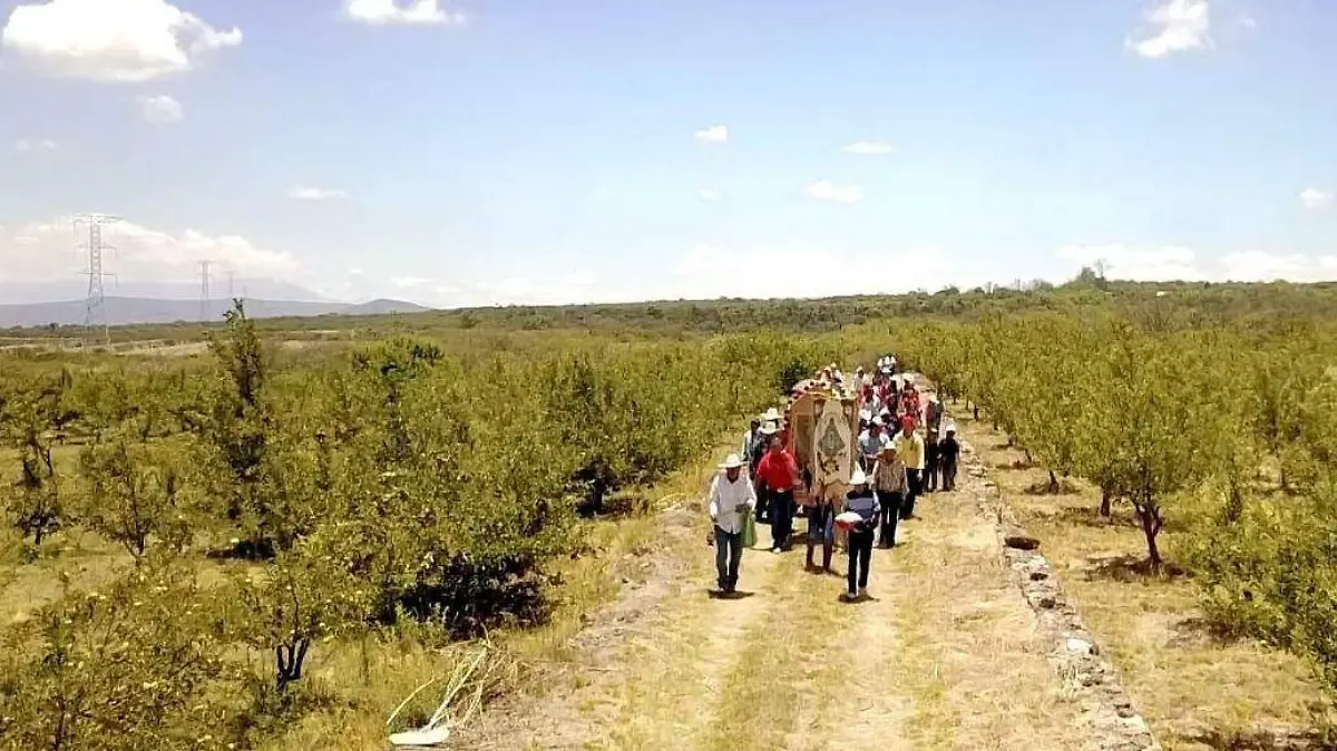 Feria manzana